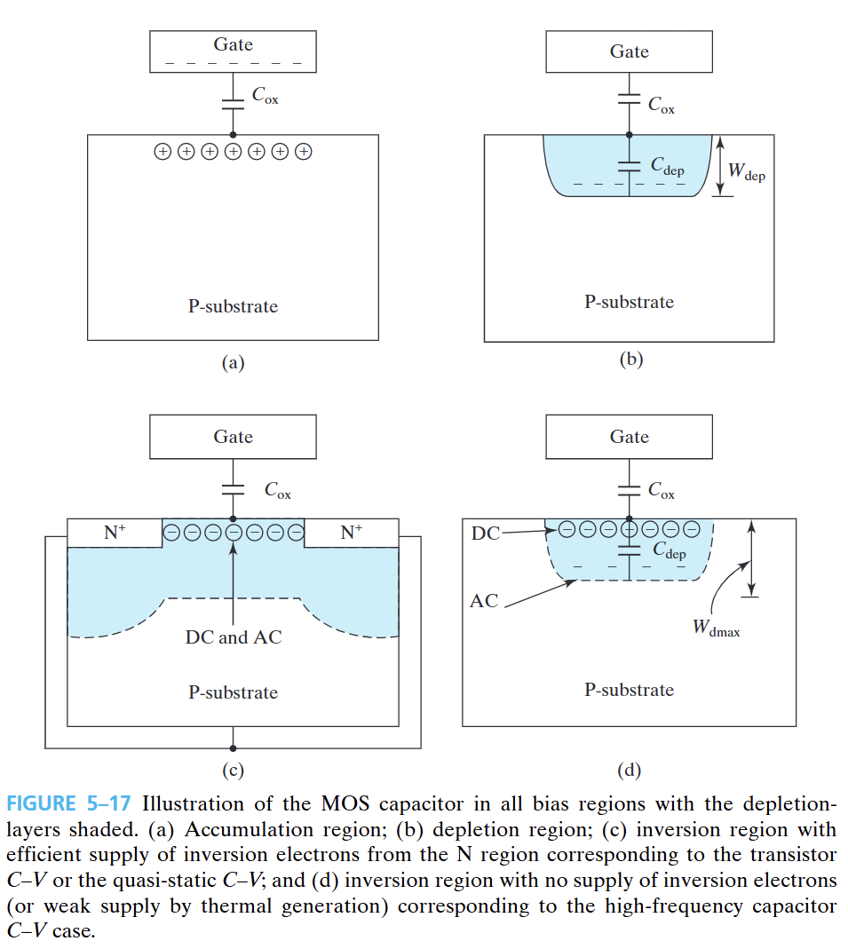 image-20241121210641499